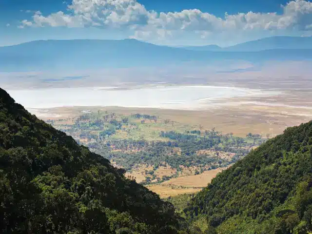 Vue panoramique du cratère du Ngorongoro depuis les hauteurs des montagnes qui l’entourent