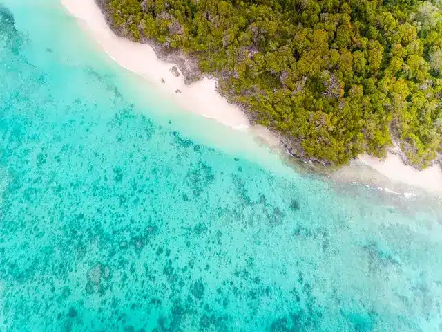 L'île de Pungume et son environnement pour le snorkeling