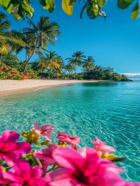 Lagon turquoise et plage paradisiaque à Zanzibar, entre sable blanc et palmiers et fleurs
