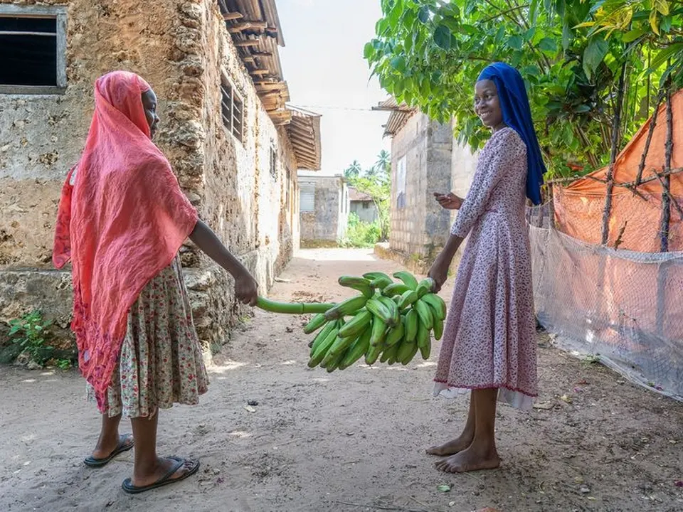 Scène de vie locale dans un village de Zanzibar
